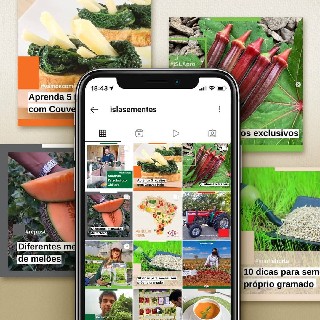 Isla Sementes: Editorial project for social media
